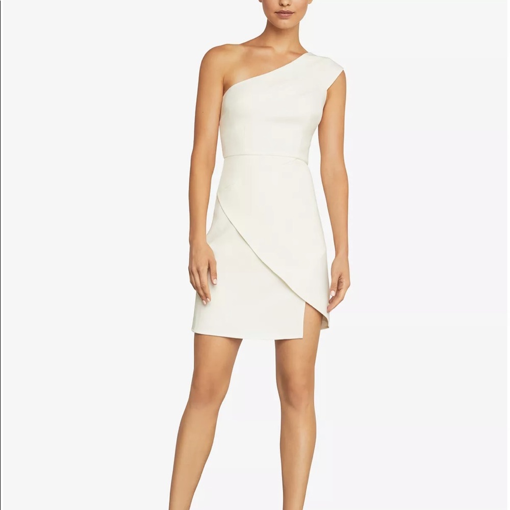 BCBG Aryanna one shoulder cocktail dress